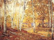 Sycamores and Oaks